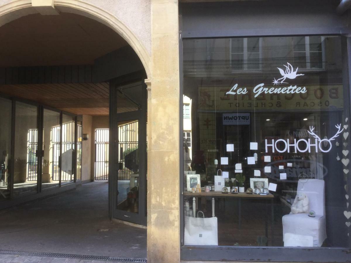 Les Grenettes2 Apartment Metz Luaran gambar